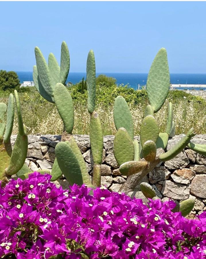 Corallo Otranto Exterior foto